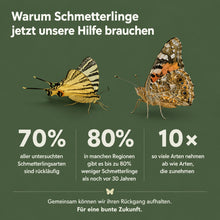 Lade das Bild in den Galerie-Viewer, Handgefertigtes Schmetterlingshaus Tropfenform aus Naturholz